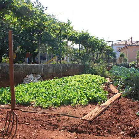 With A Parking Space - 6992 Lejlighed *