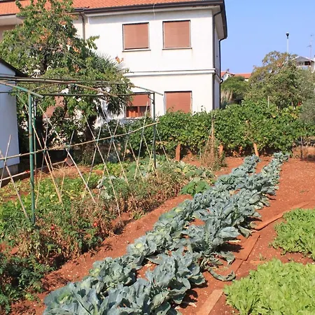 With A Parking Space - 6992 Daire *