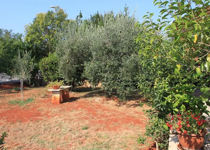 Daire With A Parking Space - 6992 *